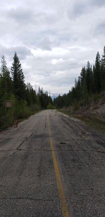 An abandoned highway in the Rocky mountains of Canada