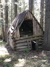 An abandoned log cabin in the woods