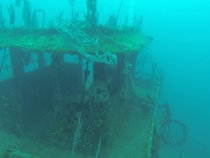 An abandoned ship near Utila Honduras Taken by my husband while diving