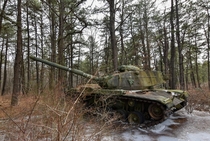 An abandoned tank in the woods 