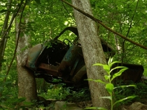 An abandoned truck near Amicalola Falls in Dawsonville Georgia Local legend states that a moonshiner was being pursued by cops when he lost control of his vehicle and drove off the side of the mountain killing him Pieces of this truck can be found near th