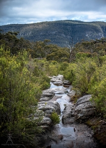 An alpine stream runs through ancient rocks Grampians NP Vic Aus 