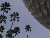 An angle of the Epcot Geodesic Dome 