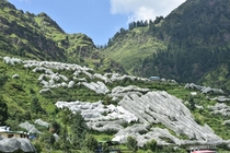 An apple orchard near Narkanda Himachal India The trees are covered with anti hail nets