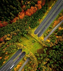 An ecoduct in the Netherlands For animals to cross between highways picture by Rutger den Hertog