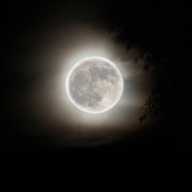 An HDR image I took of the Hunters Moon
