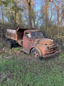 An old Dodge truck I saw abandoned on the side of the road