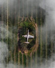 An old plane hidden in the middle of a field in the Polish village of Wolka Nosowska NOT OC will post OPs username in comments