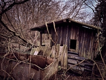An old shack I found on a walk in the woods
