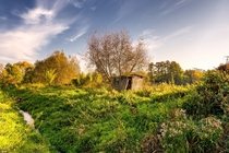 An old shack slowly consumed by nature near the Utrata River in Poland  by Krzysztof Ruzikowski