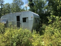 An old trailer having its windows ripped off by raspberries 