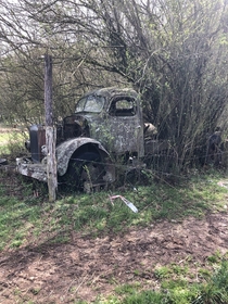An old truck thats been on my farm longer than Ive been alive Theres a tree growing through the back of it