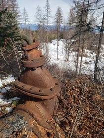 An old water valve found I found in Kimberley