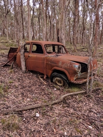 An old wreck I stumbled across when camping It was a bizaare find as I randomly walked straight into bushland for about half a kilometre looking for wildlife to photograph No main roads in sight just bush Someone had fun bush bashing around  years ago goi