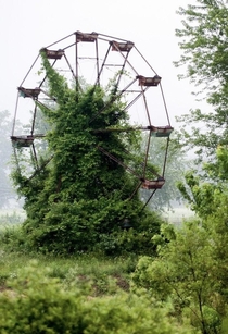 An overgrown Ferris wheel