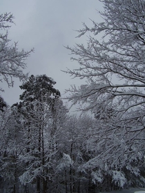 An Unusual Snowfall in Greensboro North Carolina US 