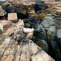Ancient Lava Flow Schoodic Point Acadia National Park 
