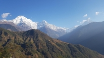 Annapurna Himal with Annapurna  from the close south Ghandruk Nepal 