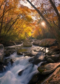 Another day closes with brilliant colors in Great Smoky Mountains National Park North Carolina 