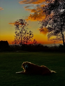 Another great dog sunset tonight at the Wilderness Park