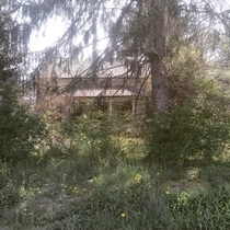 Another house in the woods 