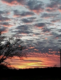 Another Louisiana Sunset