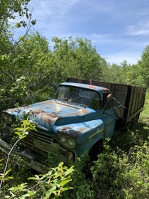 Anyone else just love finding abandoned vehicles Found this yesterday old Chevy cargo truck