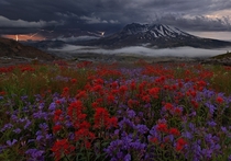 Apocalypse Now- Mt St Helens Washington 
