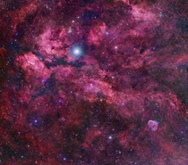 APOD - Central Cygnus Skyscape 