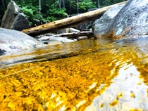 Appalachian Trail creek 