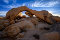Arch Rock in Joshua Tree National Park  IGcookdog