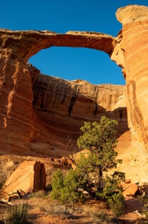 Arches arent just in Utah Colorado USA 