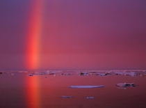 Arctic Rainbow Paul Nicklen