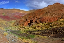 Argentinean Altiplano 