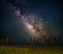 Arizona Milky Way 