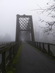 Armitage Bridge McKenzie River Eugene Oregon