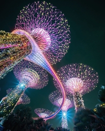 Artificial Trees in Singapore Photo Jeryl Teo 
