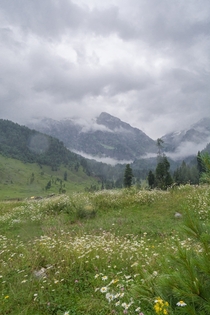 Aru Valley Kashmir India 