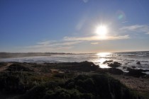 Asilomar State Beach Monterey Peninsula California 