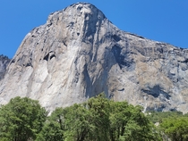 At the base of El Cap Bonus points if you can spot three sets of climbers Answer in comments Yosemite CA 