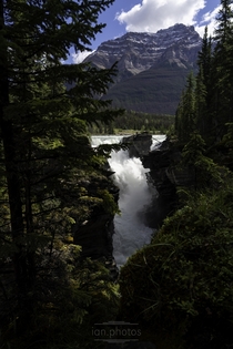 Athabasca Falls Jasper Alberta 