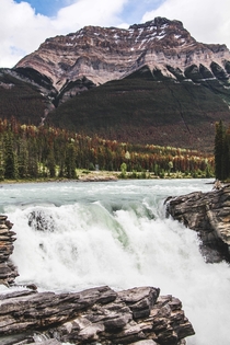 Athabasca Falls Jasper National Park 
