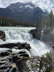 Athabasca River Falls Jasper Alberta 