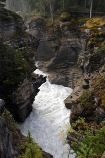 Athabasca River near Athabasca Falls 