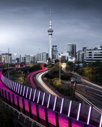 Auckland Junctions 
