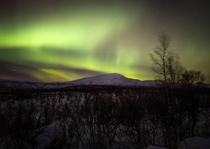 Aurora Borealis in Kiruna Sweden - dominikknoll 