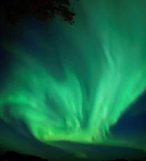 Aurora Borealis in Northern Norway these days 