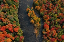 Autumn above the St Regis River Adirondack State Park NY 