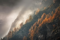 Autumn at Devero alp - Italy  enniopozzetti
