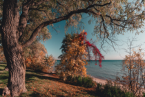 Autumn by the lake Ontario 